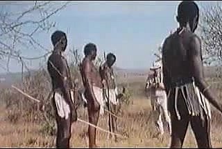 Real Afrikaanse safari