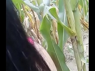 masturbate on the field