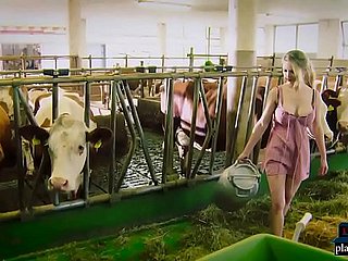 Impulsive seksu nieprawidłowo działa i oszukuje swojego mistrza w stodole