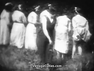 ووڈس (1930s کی ونٹیج) میں سینگ میڈیموسیلس تیز ہوجاتے ہیں