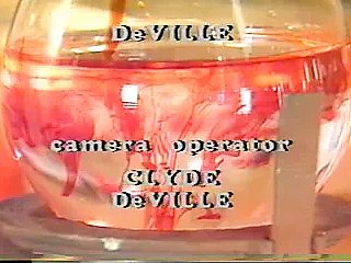 Unused Fervency (1986)