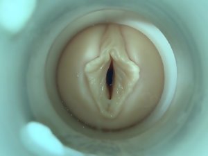 بخ! من قبل نائب الرئيس كام رجل