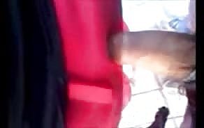 peekaboo porno przystanek autobusowy